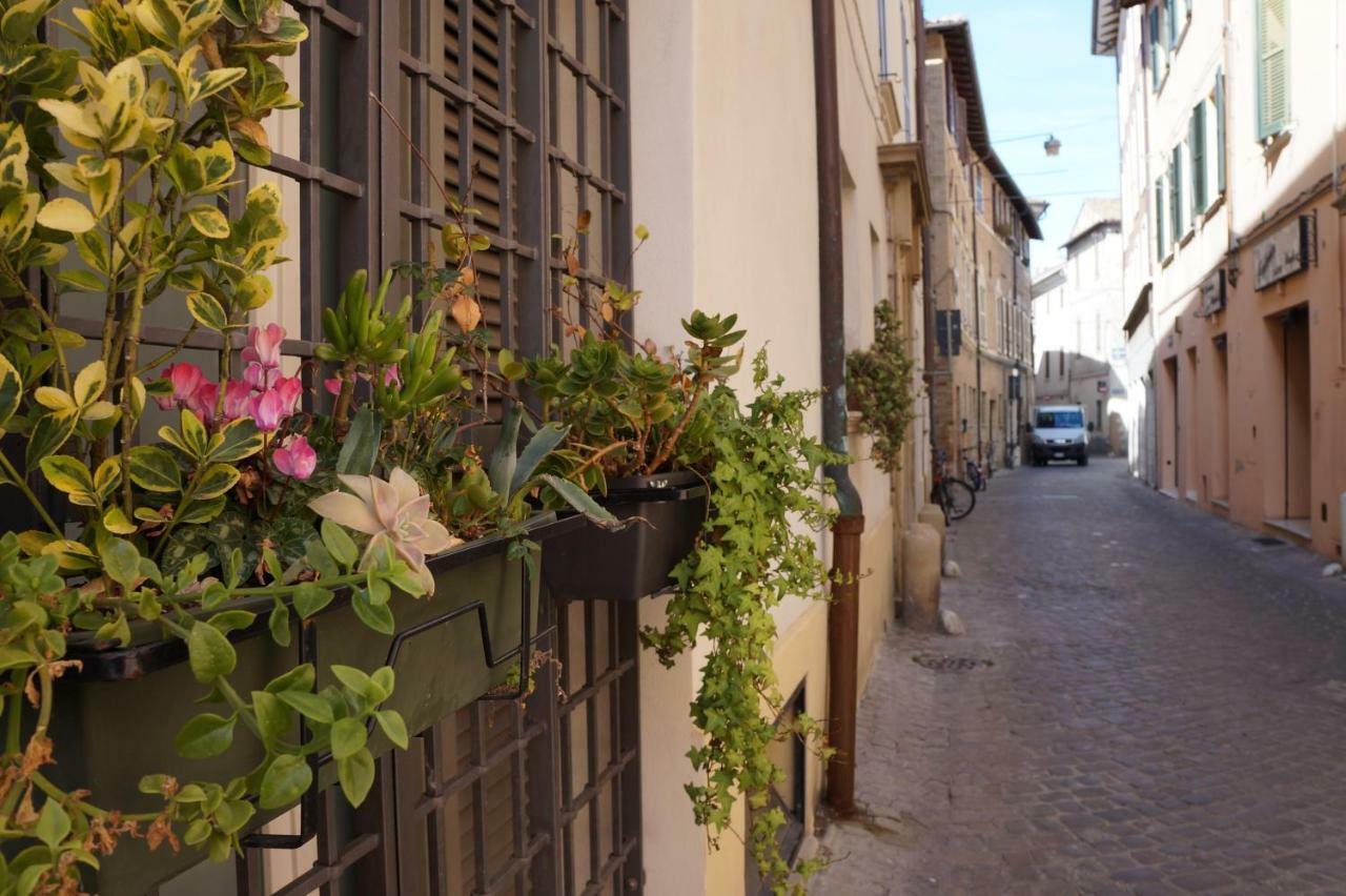 Il Vicolo 48 Bed & Breakfast Pesaro Ngoại thất bức ảnh